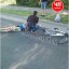 В Донецке собака сбила велосипедиста, а в Шахтерске подросток на мопеде - ребенка
