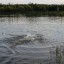 В Донецке в пруду «Новый» вторая смерть за два дня