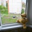 В Кадиевке из окна 4 этажа выпала малолетняя девочка