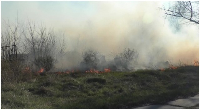 В Антрацитовском районе произошло несколько пожаров в экосистемах