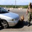 Боевики «ЛНР» будут задерживать «подозрительных» лиц и отправлять в фильтрационные лагеря
