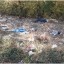 Жители Горловки страдают из-за того, что почти не вывозят мусор