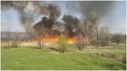 В Макеевке в результате пожара выгорело почти 2 га травы и камыша