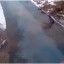 В Луганске наблюдается сильное загрязнение реки Лугань