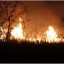 В «ЛНР» за сутки в 73 пожарах выгорело 982 гектара леса