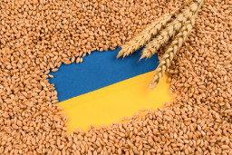 Ворог продовжує красти та вивозити українське зерно через Маріупольський порт – ЦНС