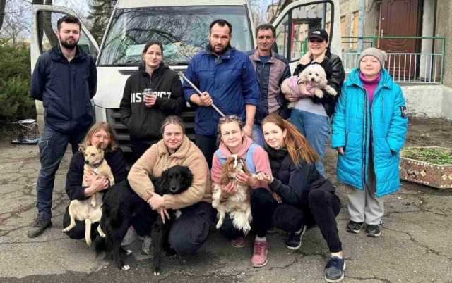 У Дружківській громаді стерилізували 300 безпритульних тварин - ОДА