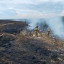 Пожежі на ТОТ Луганщині випалили понад 500 га і знищили сотні домоволодінь – ОВА