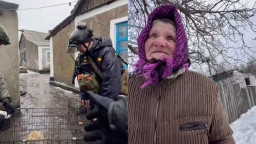 З зруйнованого села на Донеччині евакуювали останню мешканку