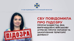 СБУ оголосила підозру кореспонденту каналу &laquo;ТВ-Сфера&raquo;