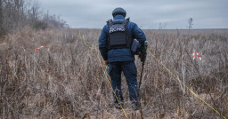 У Донецькій області піротехніки виявили та знешкодили 21 одиницю вибухонебезпечних предметів