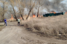 Масштабні пожежі в окупованому Старобільську охопили понад 100 гектарів