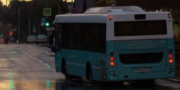 В Троїцькій громаді зупинили всі пасажирські перевезення - ЛОВА