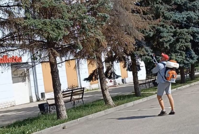 У Краматорську комунальники обробляють зелені насадження від паразитів У Краматорську комунальники обробляють зелені насадження від паразитів