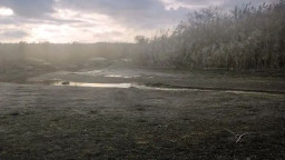 Екологічна катастрофа на Донбасі: Кальміус швидко міліє