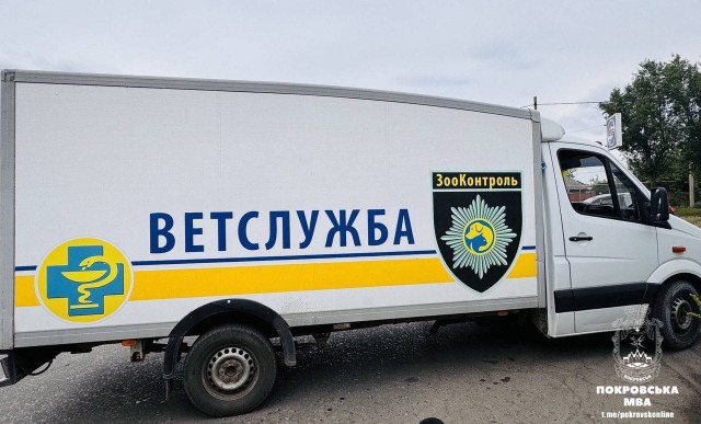 "ЗооКонтроль" відновлює свою діяльність у Покровську