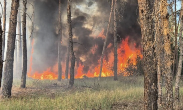 Ліквідація пожеж на Донеччині: вогнем було знищено близько 38 гектарів