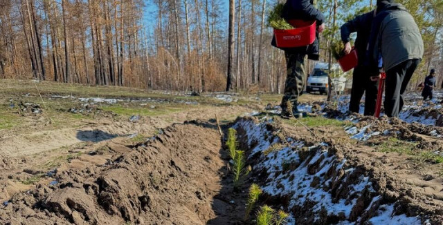 У прифронтовому національному парку на Донеччині висаджено 4000 нових дерев