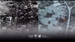 Росіяни нарощують присутність у районі Сіверська та Серебрянського лісництва - ДШВ