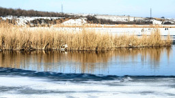 Водойми в окупованому Алчевську відновили рівень води