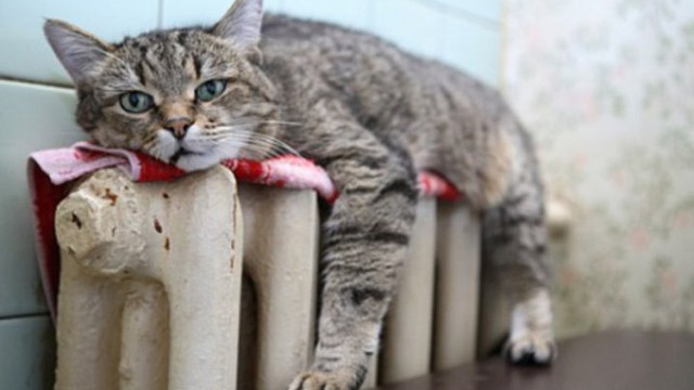 У Дружківці планують оновити обладнання котельні У Дружківці планують оновити обладнання котельні