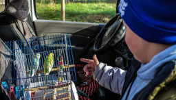 У прифронтовій Іллінівській громаді не залишилося дітей попри спроби деяких родин повернутися