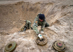 Розмінування лісів Донецької області може тривати десятиліття