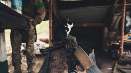 На Сході тривають запеклі бої: за добу ЗСУ відбили 76 атак російської армії