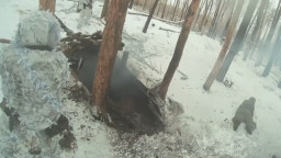 ЗСУ взяли в полон російських військових на Покровському напрямку