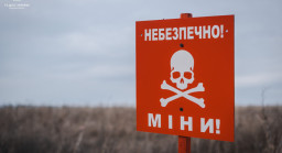 На Донеччині піротехніки виявили 53 вибухонебезпечних предмети за добу