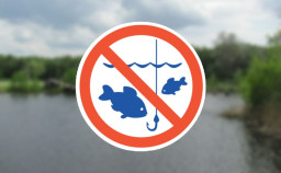 На Донеччині запроваджено весняно-літню нерестову заборону на вилов риби