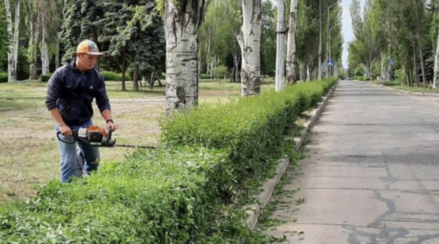 У Краматорську триває догляд за зеленими насадженнями: обрізка кущів на бульварі Машинобудівників