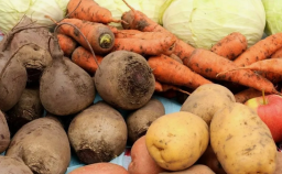 На Донеччині підсумували результати збору овочів &ndash; ОВА