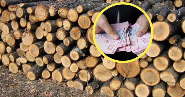 Грошова допомога на опалення: 1 440 краматорців отримають по 21 тис гривень