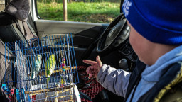 На Донеччині розробили план підтримки евакуйованих дітей на наступний рік