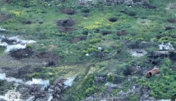 Окупанти втекли з позицій на Луганщині