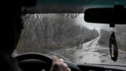 Ситуація на Мирноградському напрямку критично ускладнюється - військовий