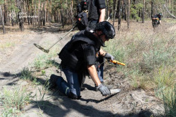 На Донеччині за добу знищено 146 вибухонебезпечних предметів