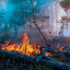 Висока пожежна небезпека оголошена на окупованій Луганщині
