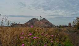 Окупаційна влада Луганщини готує передачу териконів приватним компаніям