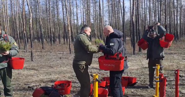 На території парку «Святі гори» висадили 10 тис саджанців