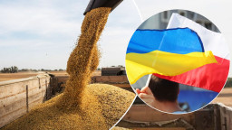 Несподівана заборона: Польща обмежує імпорт українського зерна