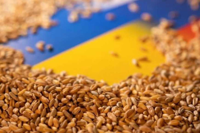 Росія вивезла понад 180 тисяч тонн українського зерна через Маріупольський порт