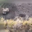 На ділянці Котлярівка-Горіхове противник атакує переважаючими силами - 72 ОМБр