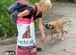 Мешканці Костянтинівки можуть отримати допомогу для тварин