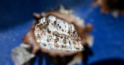 За добу в Донецькій області від рук окупантів загинули двоє мирних жителів