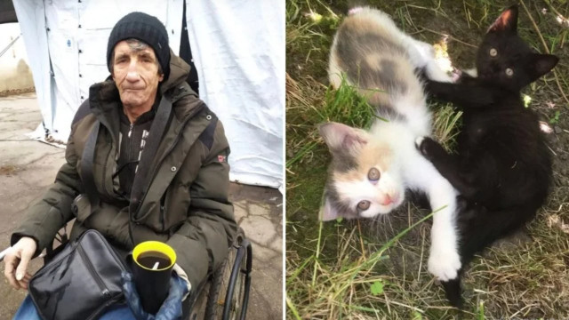 У Павлограді допомагають евакуйованим разом з домашніми тваринами У Павлограді допомагають евакуйованим разом з домашніми тваринами