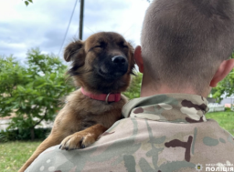 Правоохоронці на Рівненщині прихистили евакуйованого з Донеччини песика (ФОТО)