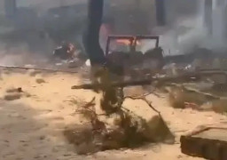 ЗСУ зупинили наступ ворога у Кремінському лісі: окупанти втратили позиції