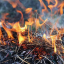 У Донецькій області оголосили про надзвичайний рівень пожежної небезпеки